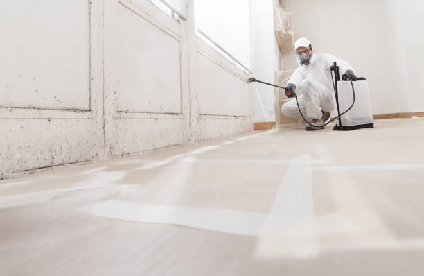 24/7 Emergency Mold Remediation experts in White Plains, NC
