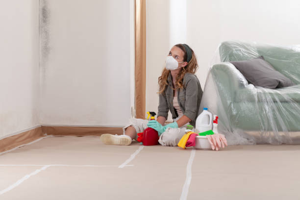 Reliable Mold Remediation contractor in White Plains, NC by Cheap Mold Removal